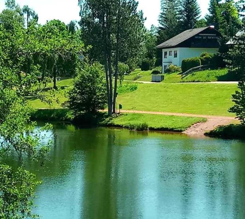 Herrischried Ferienwohnungen Am Skilift מראה חיצוני תמונה