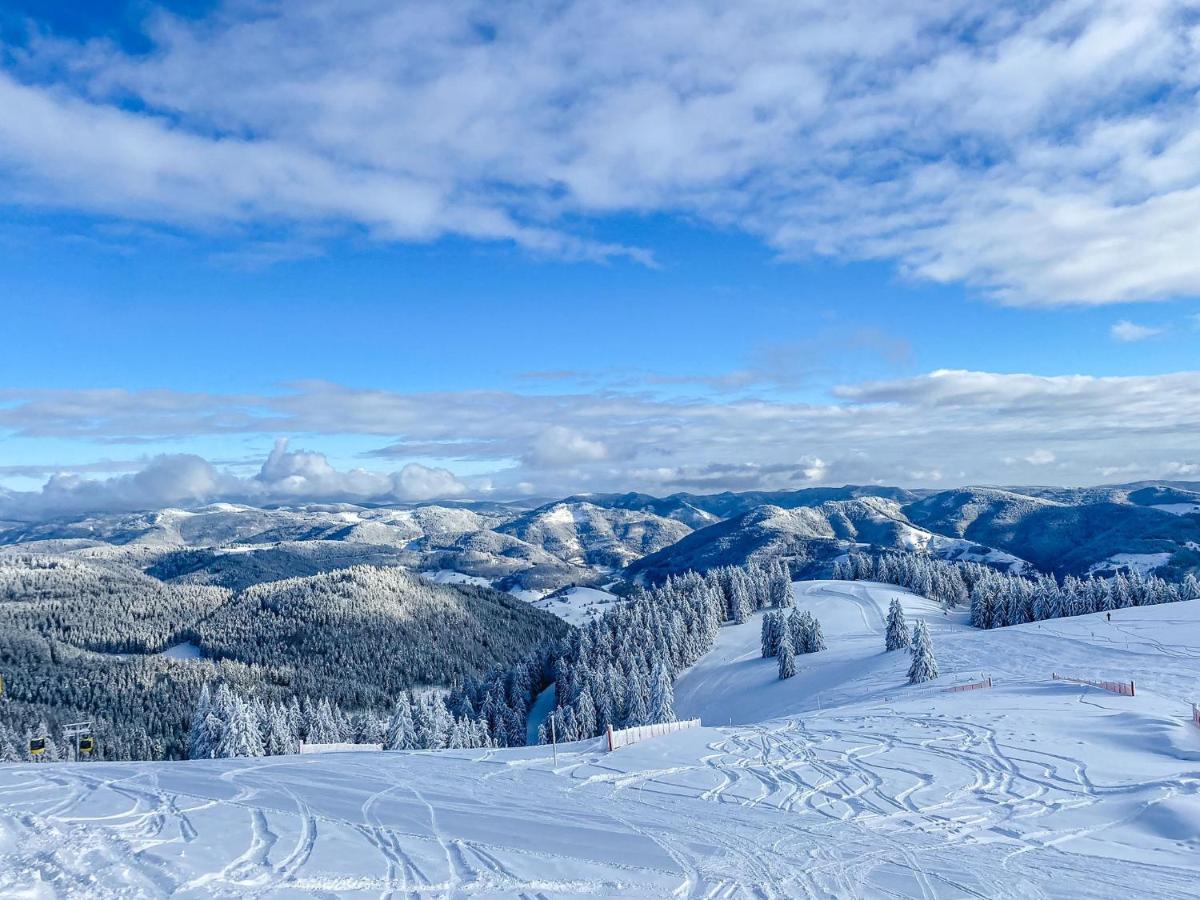Herrischried Ferienwohnungen Am Skilift מראה חיצוני תמונה