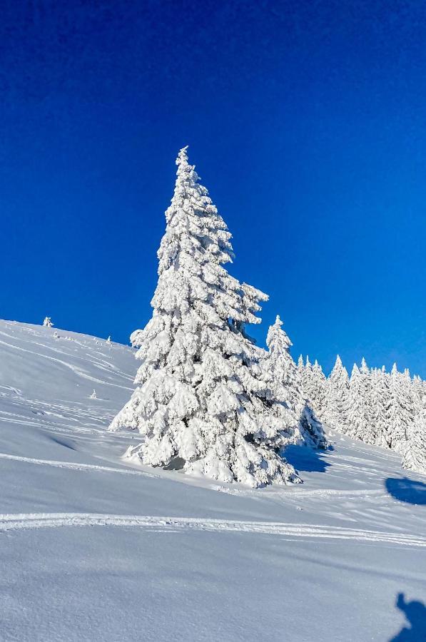 Herrischried Ferienwohnungen Am Skilift מראה חיצוני תמונה