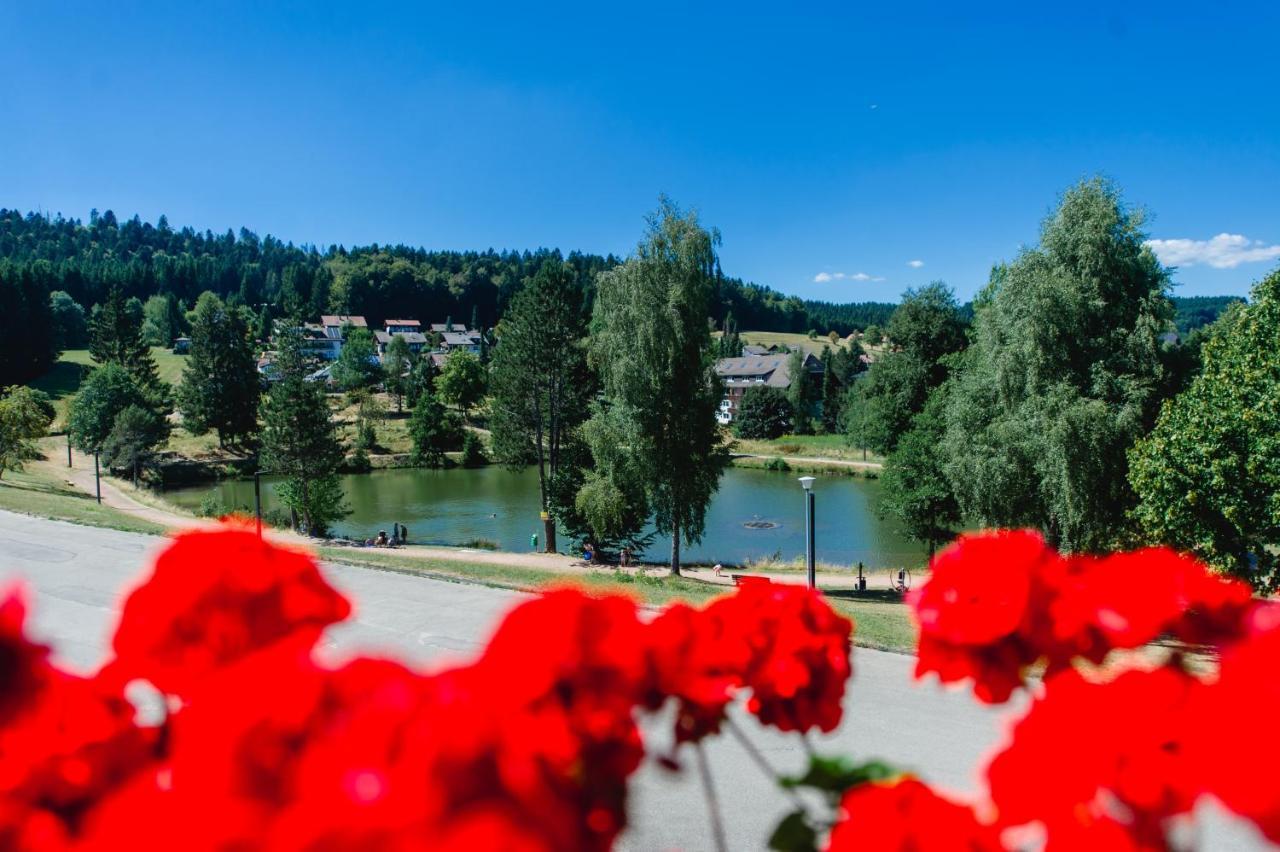 Herrischried Ferienwohnungen Am Skilift מראה חיצוני תמונה