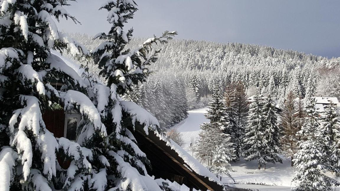 Herrischried Ferienwohnungen Am Skilift מראה חיצוני תמונה