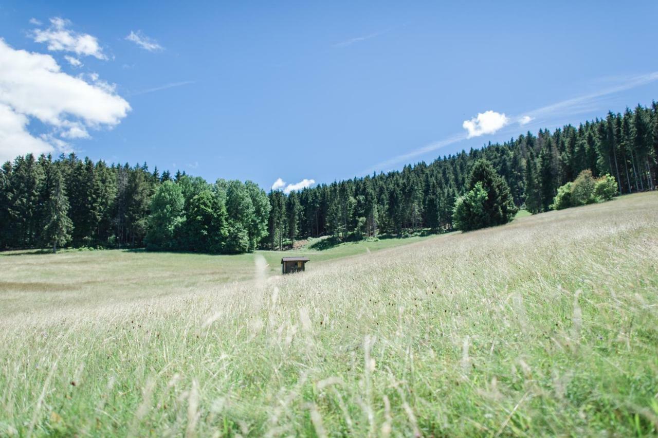 Herrischried Ferienwohnungen Am Skilift מראה חיצוני תמונה