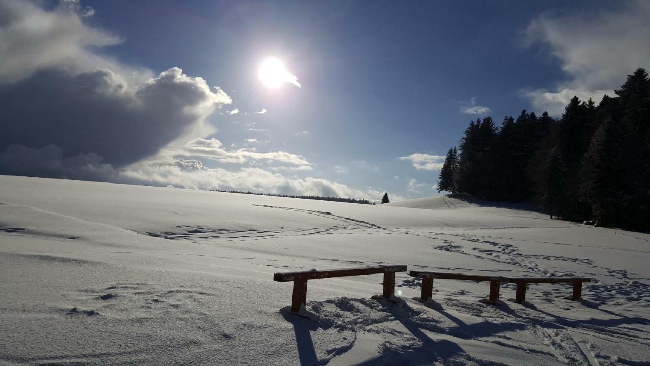 Herrischried Ferienwohnungen Am Skilift מראה חיצוני תמונה