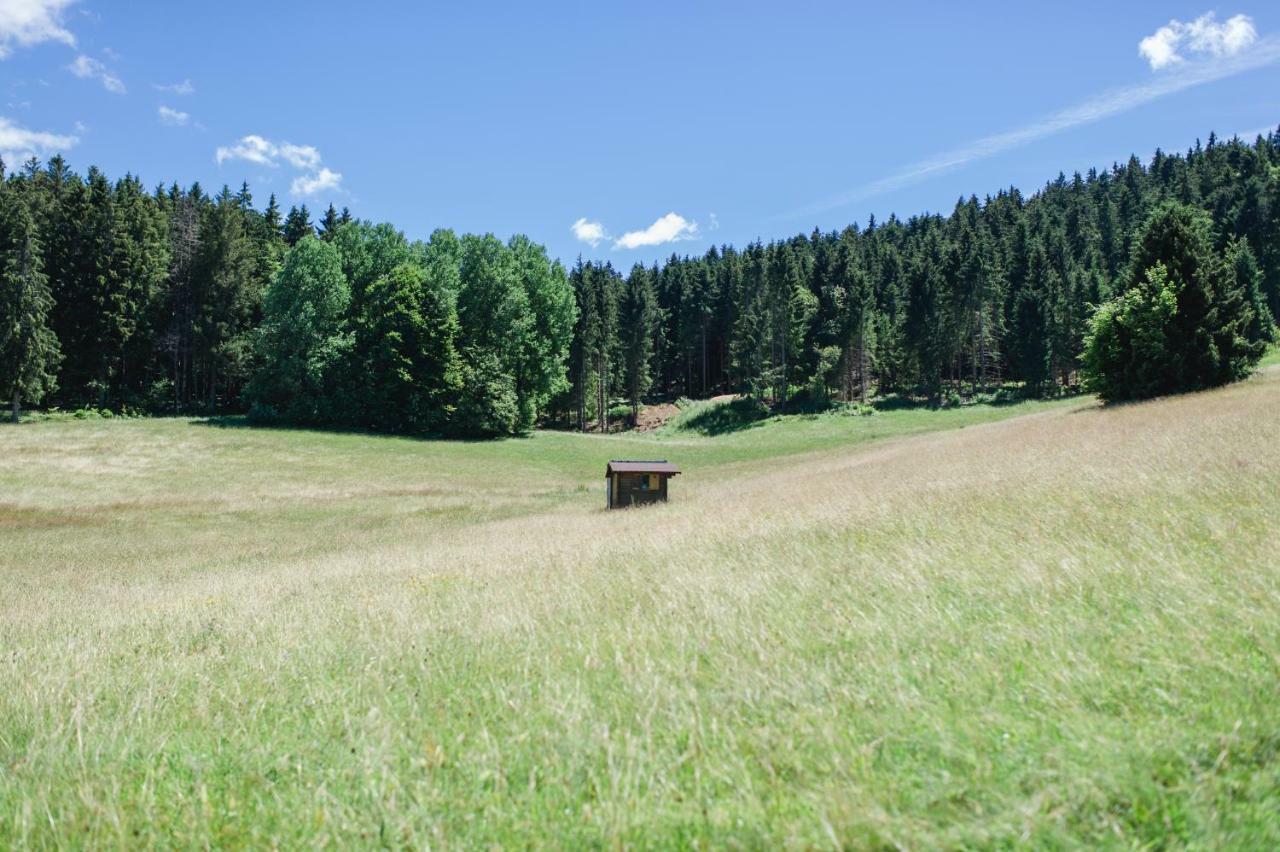 Herrischried Ferienwohnungen Am Skilift מראה חיצוני תמונה